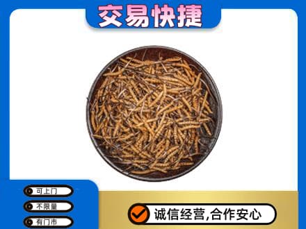 常山县高价回收散虫草